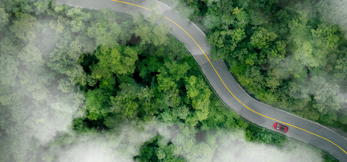 A car driving through a windy mountain road lined by trees and fog.