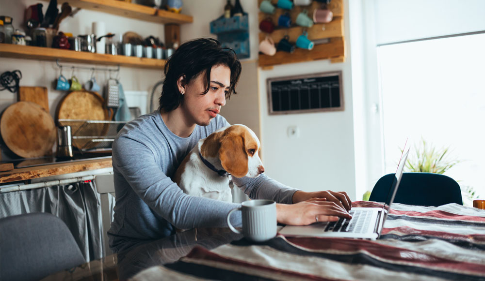 Young man holding his dog in lap while using laptop in kitchen