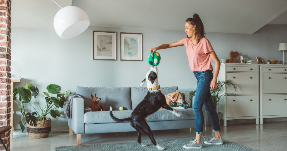 A woman plays with her dog in an apartment living room. 