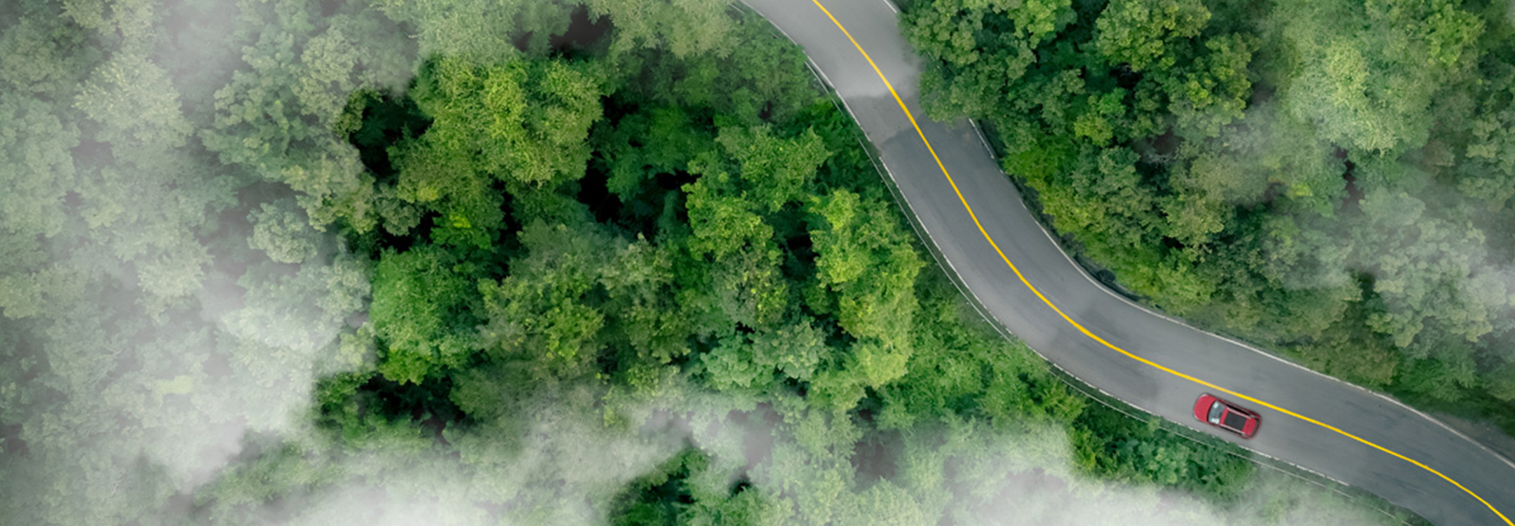 A car driving through a windy mountain road lined by trees and fog.